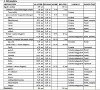 Bp. XI. va utca elad 239m2-es ikerhz fl ignyes kivitelezs, garzs - Kép: 2714 