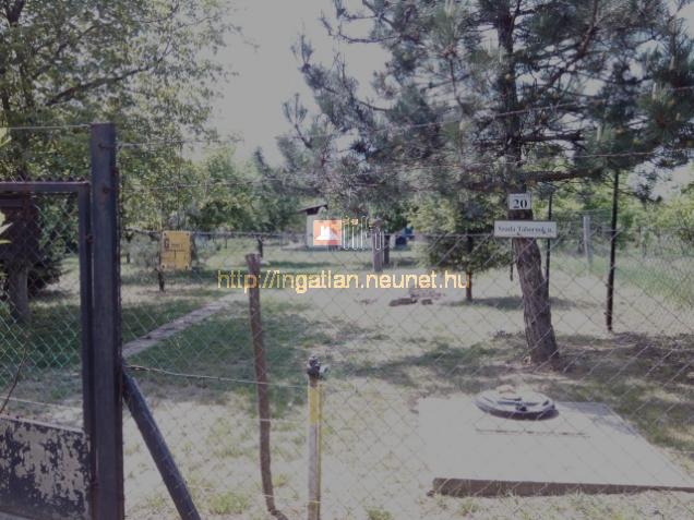 Szada elad ptsi telek az ingatlan sszkzmves (vz, villany, gz) bevezetve - Kép: 2884 