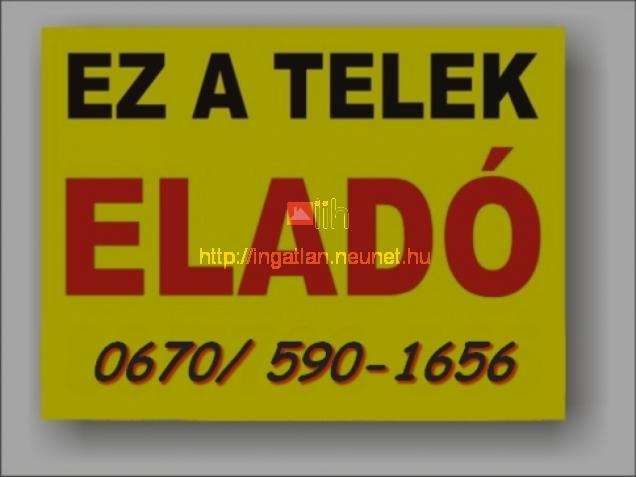 Felslajos ptsi telek elad 2820m2 frott kt villany E5-s mellett - Kép: 4823 