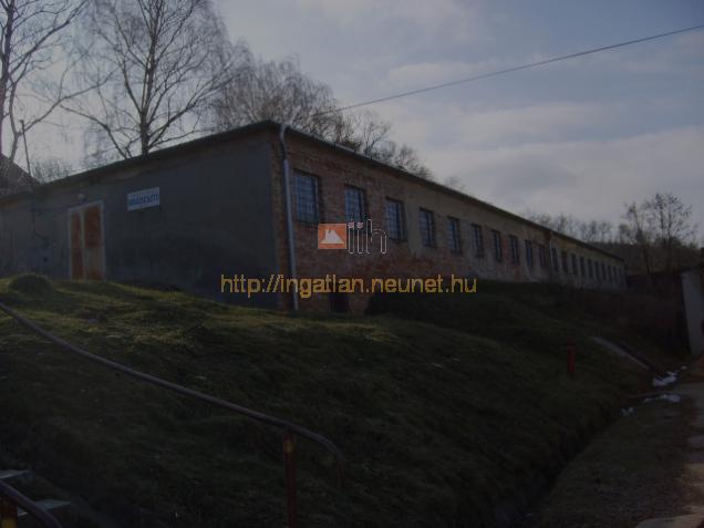 Ajka elad ipari telek 2200m2 telephely a csingeri vrosrszben - Kép: 4836 