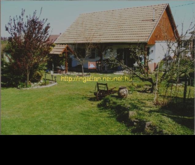 Dunaegyhza elad nyaral 60m2 1 szoba Duna holtghoz kzel, falun bell - Kép: 5804 