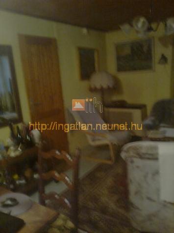 Pcsmegyer elad csaldi hz 73m2 1+3 szoba Szentendrei-sziget Surny II - Kép: 6276 